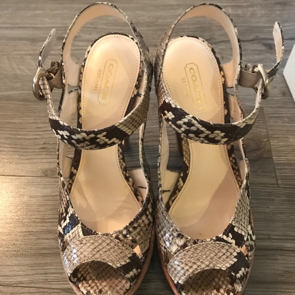 COACH TAMARA printed python heels - Picture 1 of 3